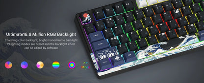OLED SAKURA WOMIER  75%